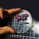 customize buttons set for trimui brick game console (14 pieces) customize buttons set for trimui brick game console (14 pieces)